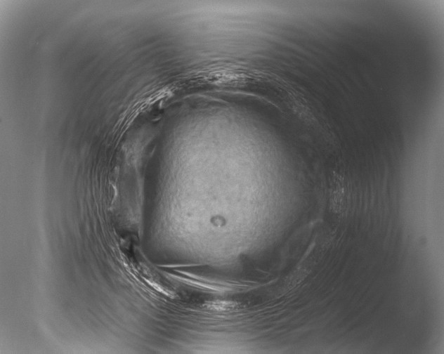 X0000085740748200703301428