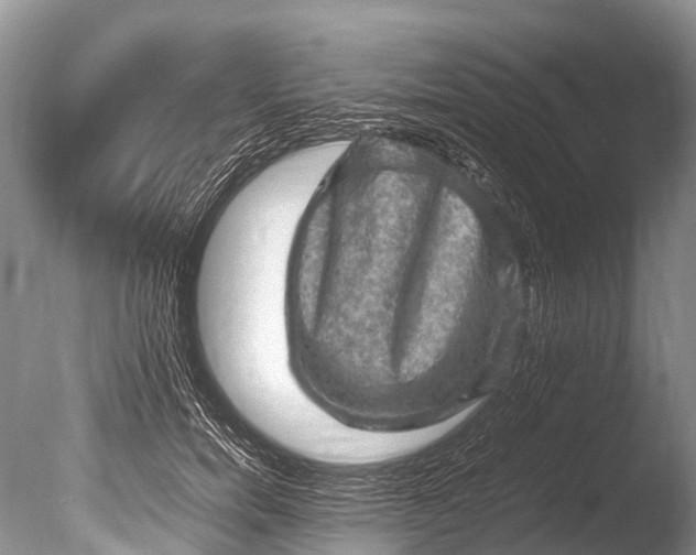 X0000085740750200703301428