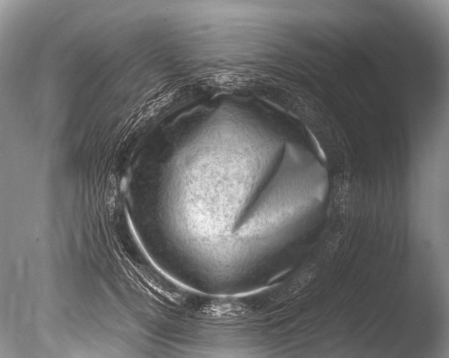 X0000085740752200703301428