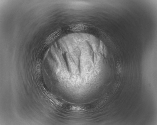 X0000085740753200703301428