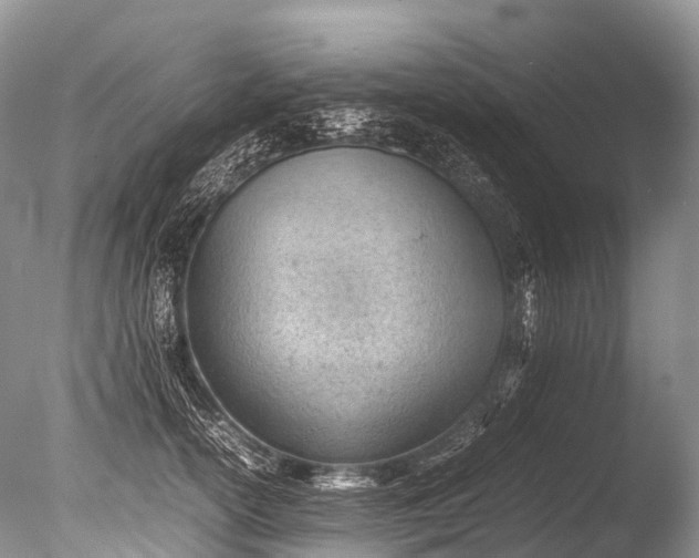 X0000085740754200703301428