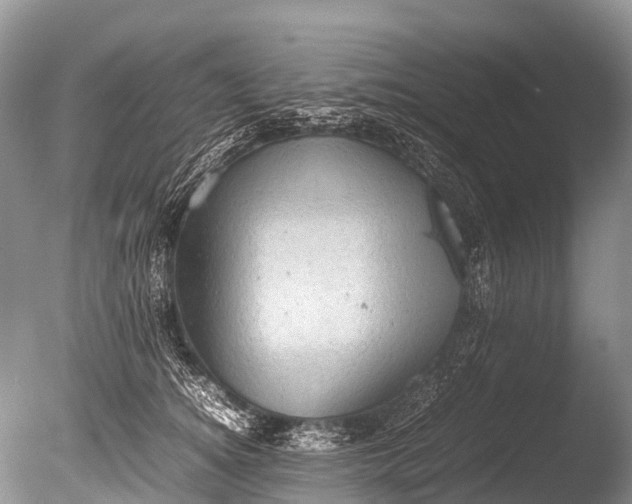 X0000085740756200703301428
