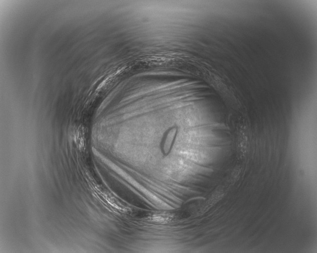X0000085740758200703301428