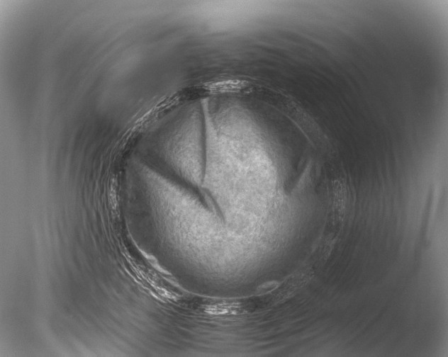 X0000085740761200703301428