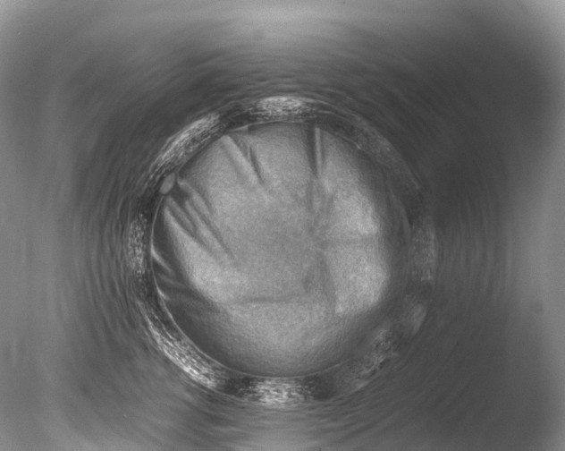X0000085740762200703301428
