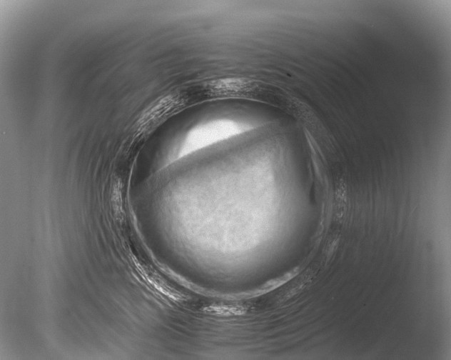 X0000085740765200703301428