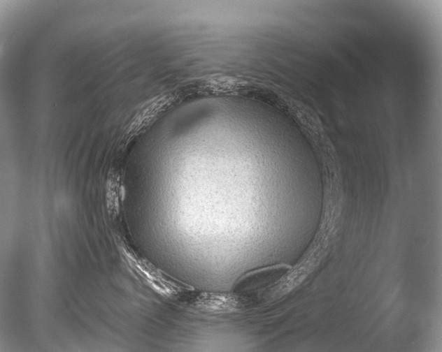 X0000085740768200703301428