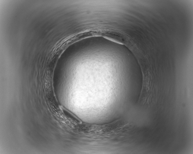 X0000085740773200703301427