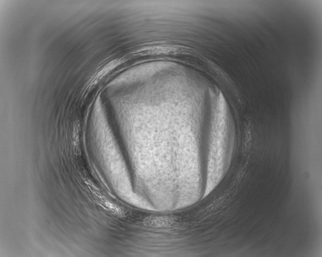 X0000085740778200703301427
