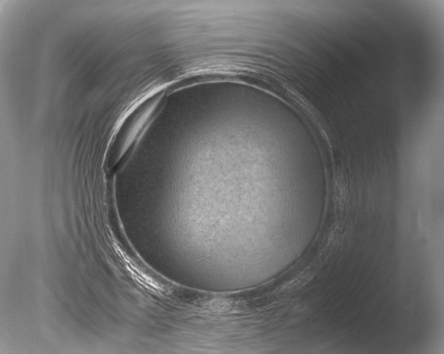 X0000085740779200703301427