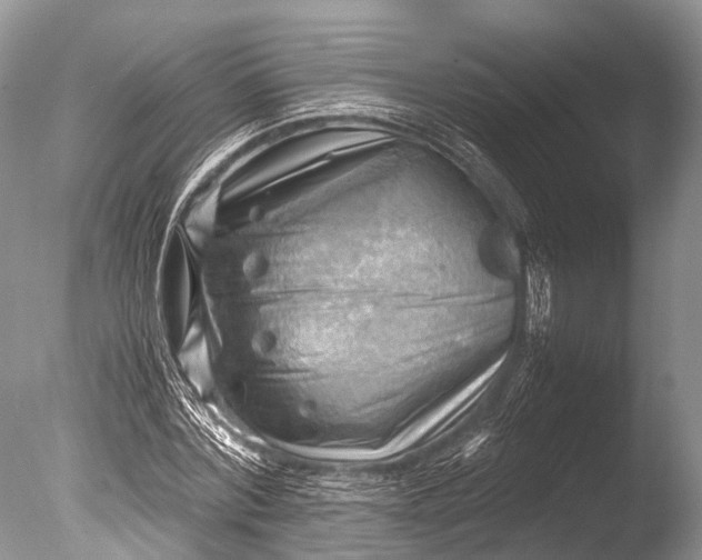 X0000085740780200703301427