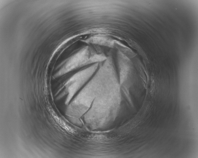 X0000085740784200703301427