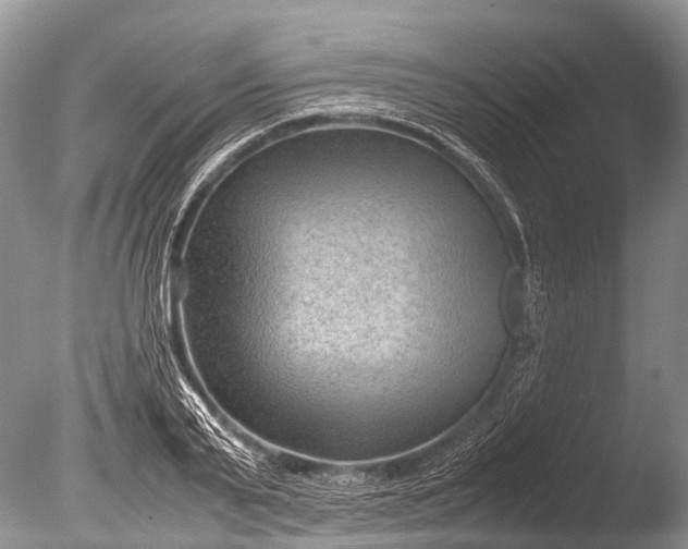 X0000085740791200703301427