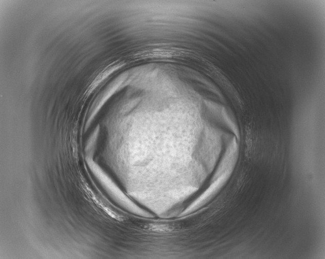 X0000085740794200703301427