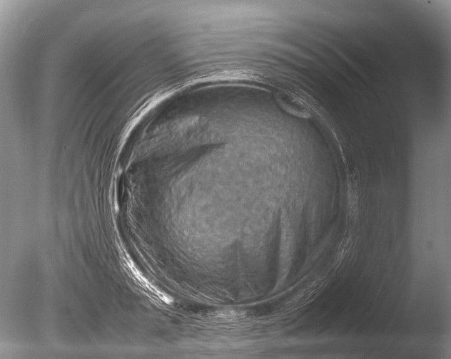 X0000085740797200703301427