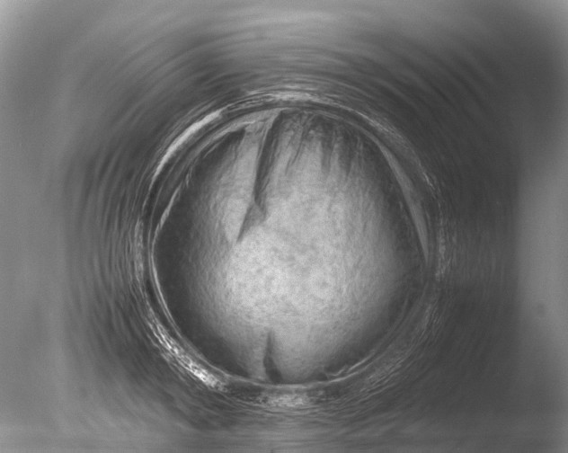 X0000085740798200703301427