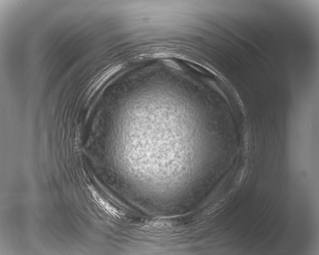 X0000085740801200703301426