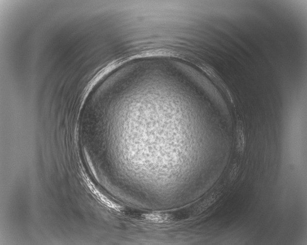 X0000085740805200703301426