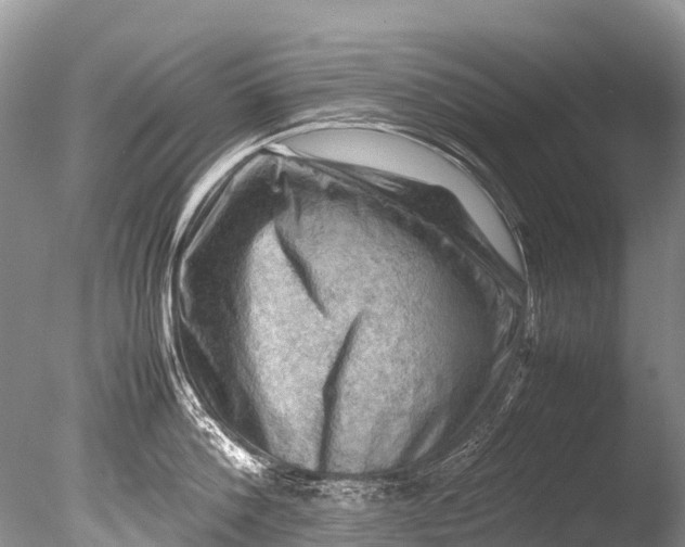 X0000085740812200703301426
