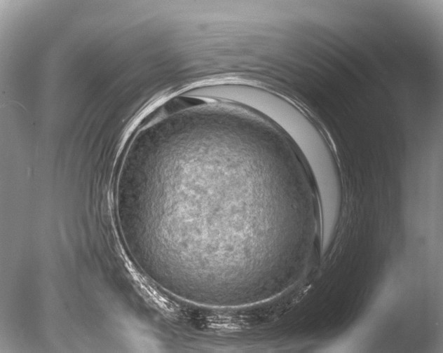X0000085740813200703301426