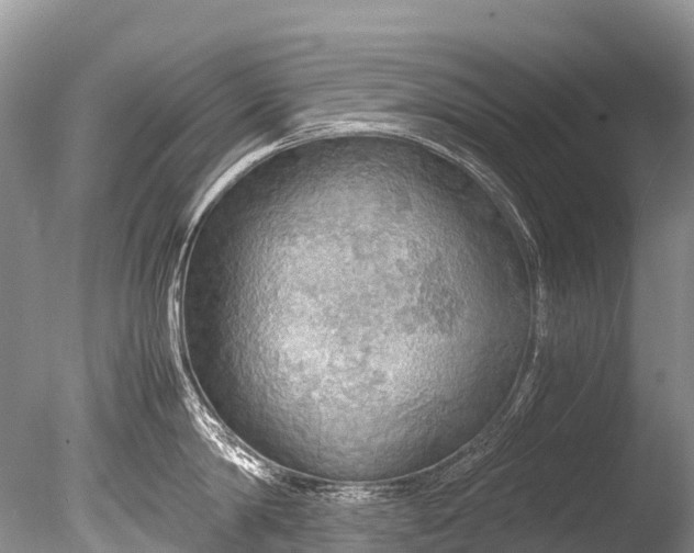 X0000085740814200703301426