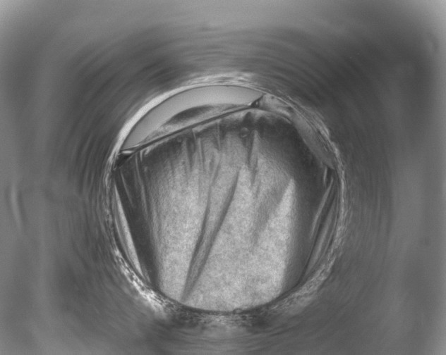X0000085740816200703301426
