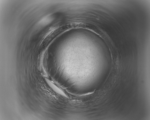 X0000085740823200703301425