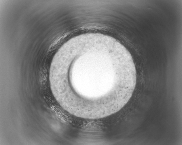 X0000085740824200703301426