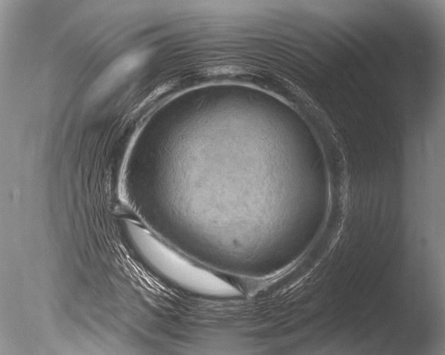 X0000085740825200703301426