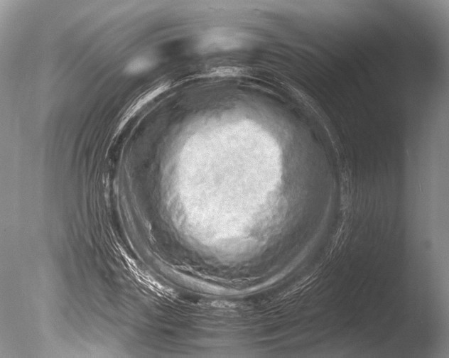 X0000085740827200703301426