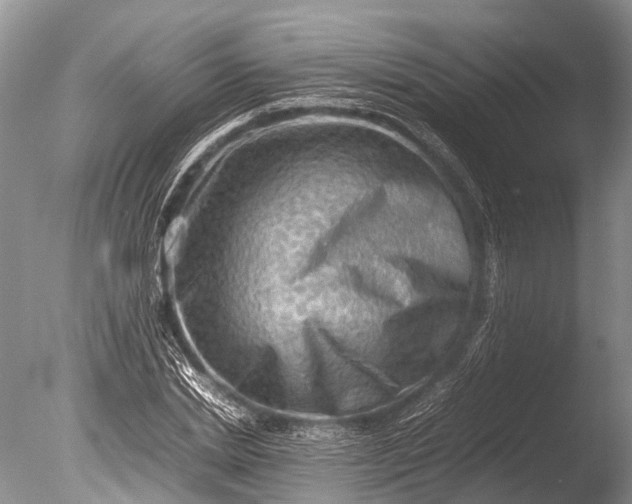 X0000085740830200703301426