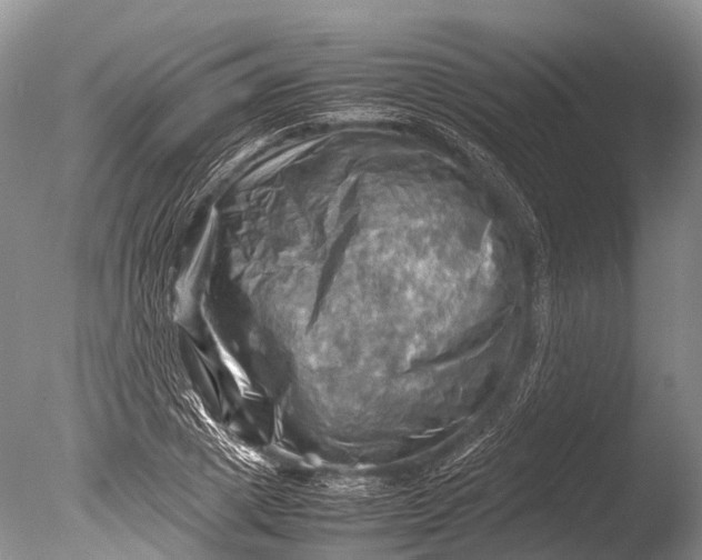 X0000085740833200703301426
