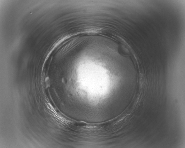 X0000085740835200703301426