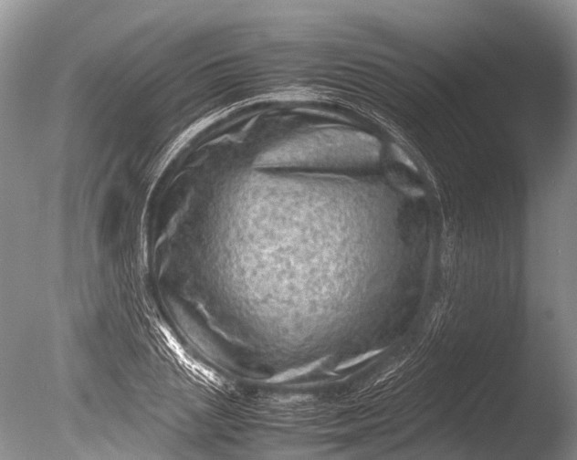 X0000085740837200703301426