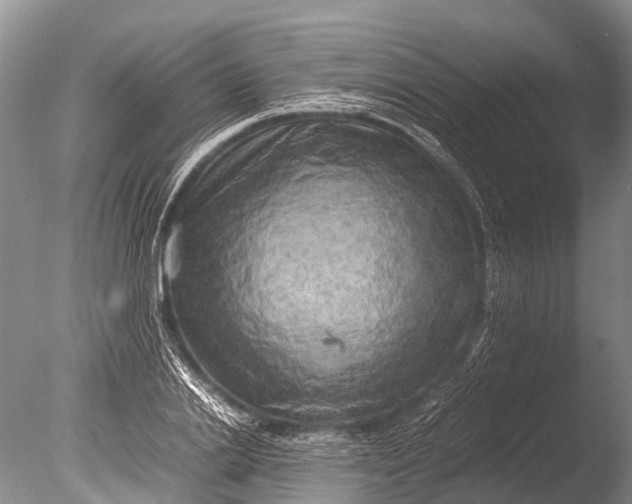 X0000085740838200703301426