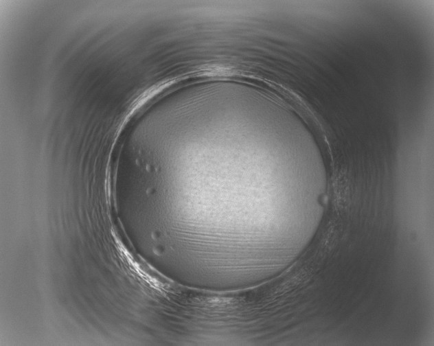 X0000085740839200703301426