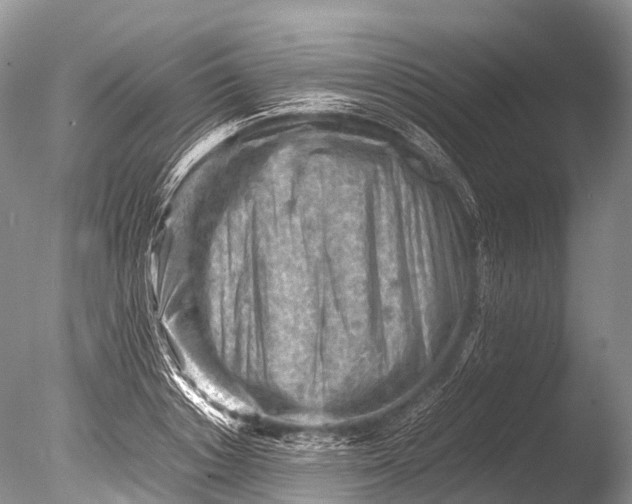 X0000085740842200703301426