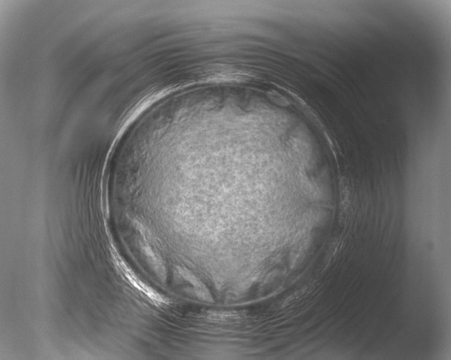 X0000085740843200703301426