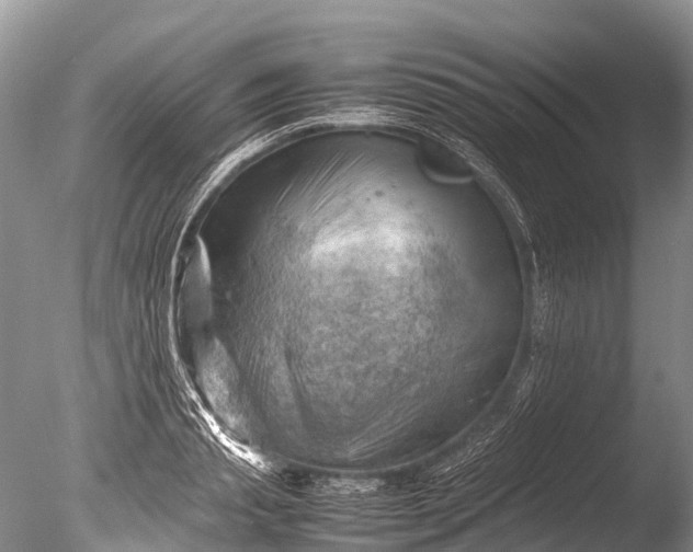 X0000085740845200703301426
