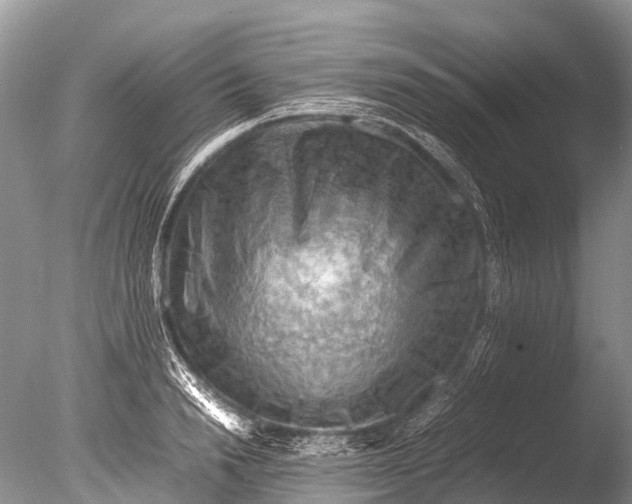 X0000085740846200703301426