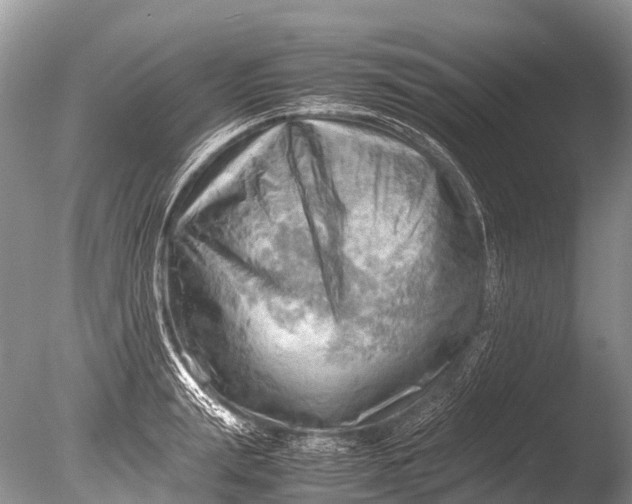 X0000085740847200703301426