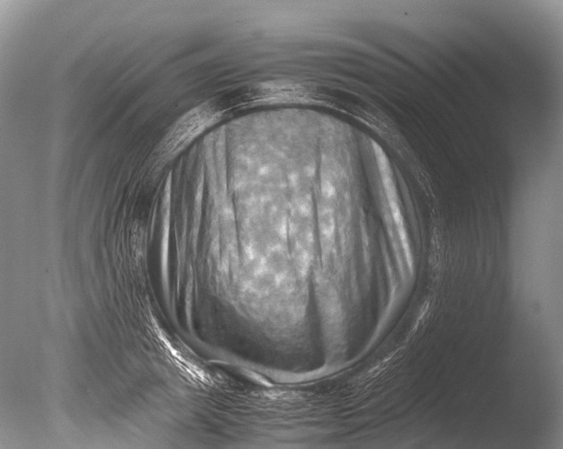X0000085740849200703301426