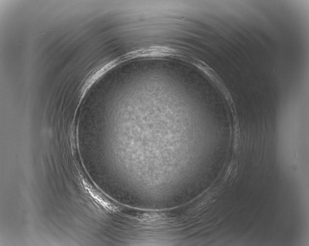 X0000085740850200703301426