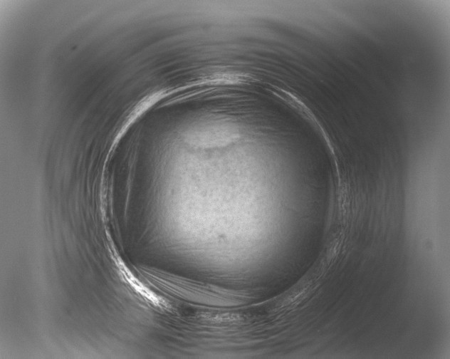 X0000085740851200703301426