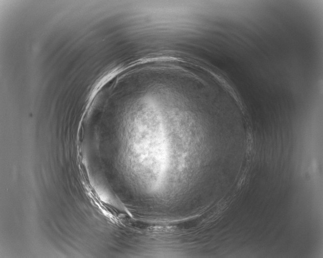 X0000085740858200703301426