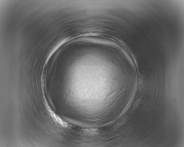 X0000085740859200703301426