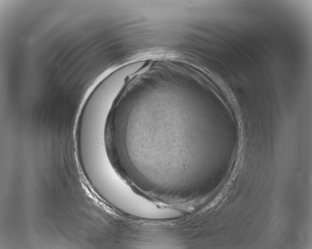 X0000085740864200703301426