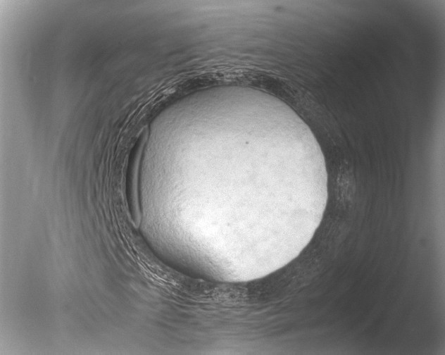 X0000085740865200703301425