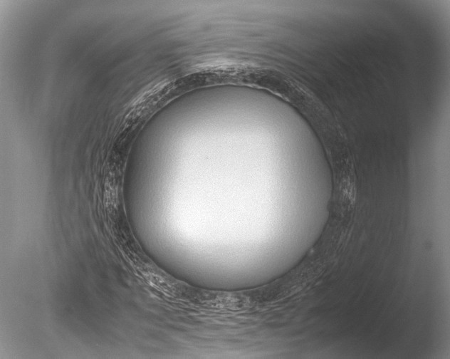 X0000085740869200703301425