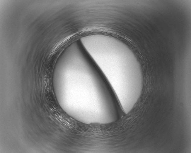 X0000085740872200703301425